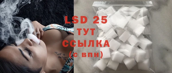 ПСИЛОЦИБИНОВЫЕ ГРИБЫ Богданович