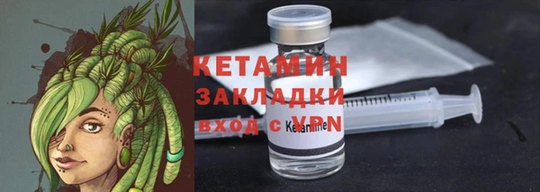 ПСИЛОЦИБИНОВЫЕ ГРИБЫ Богданович