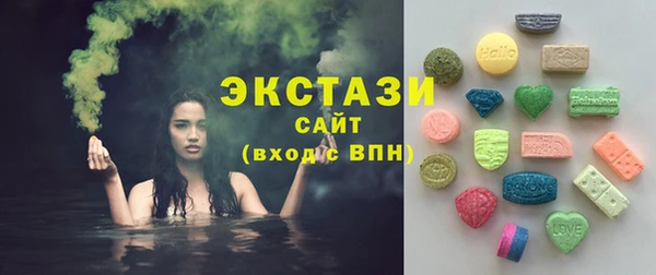 крисы Богородицк