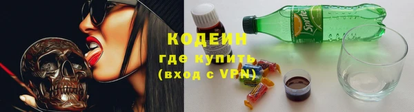 ПСИЛОЦИБИНОВЫЕ ГРИБЫ Богданович