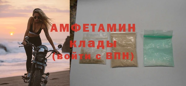 ПСИЛОЦИБИНОВЫЕ ГРИБЫ Богданович