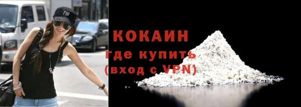 крисы Богородицк