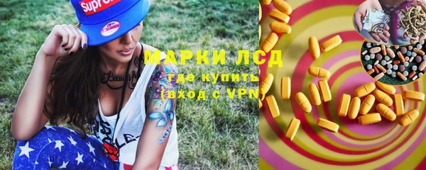 ПСИЛОЦИБИНОВЫЕ ГРИБЫ Богданович