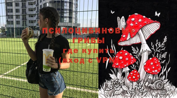 молекула духа Белоозёрский