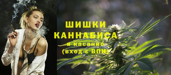 ПСИЛОЦИБИНОВЫЕ ГРИБЫ Богданович