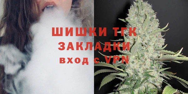 крисы Богородицк
