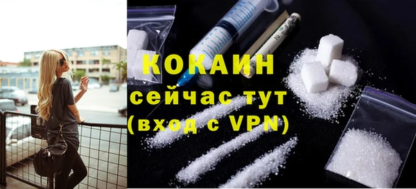 крисы Богородицк