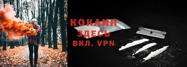 ПСИЛОЦИБИНОВЫЕ ГРИБЫ Богданович